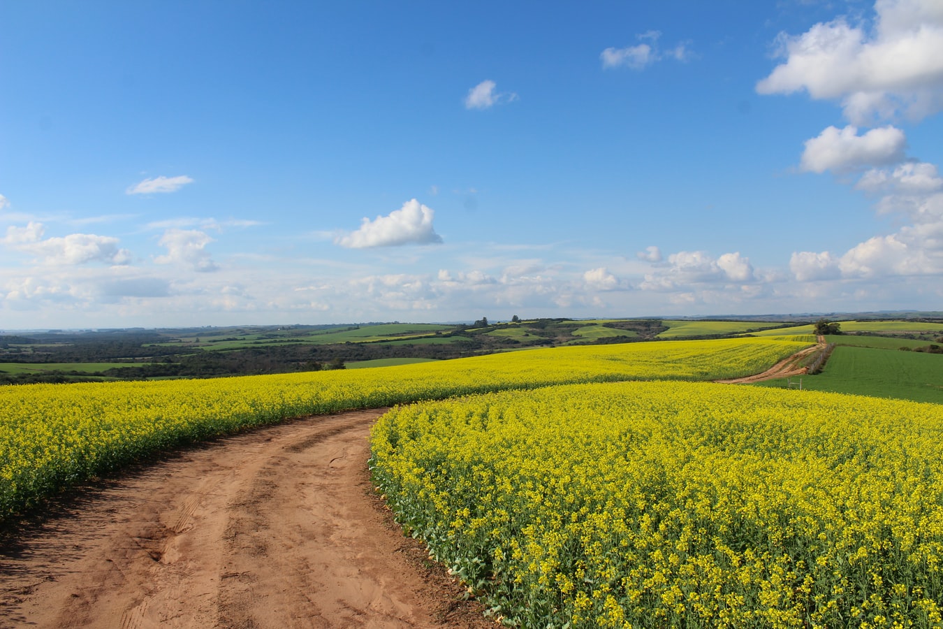 property market access to countryside