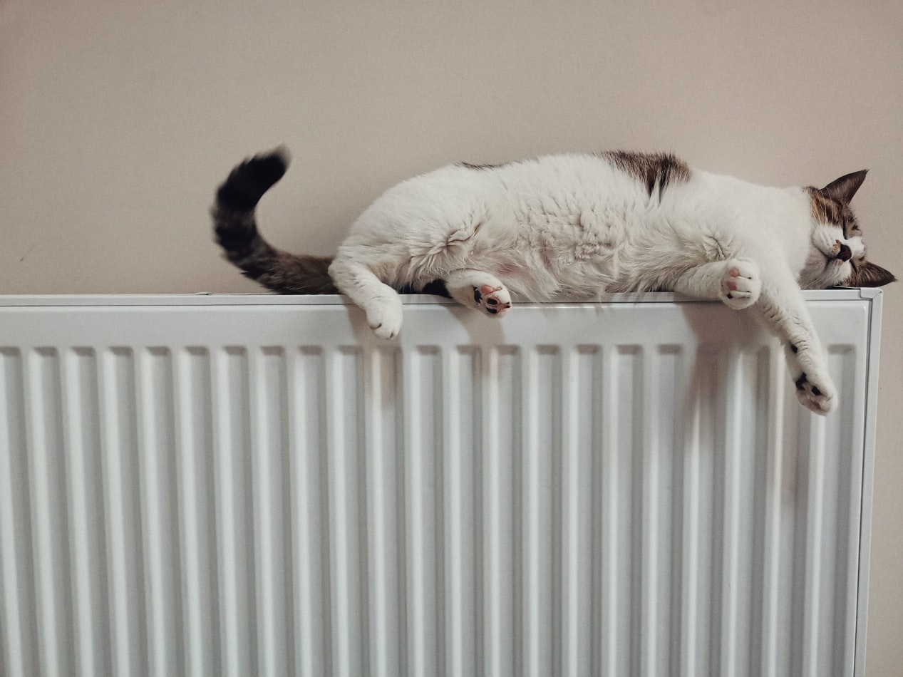 bleed radiators