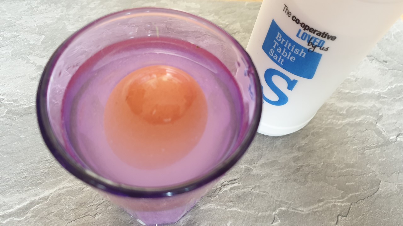 floating egg experiement