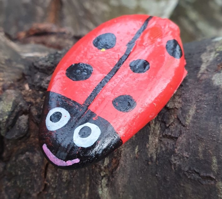 painted rock