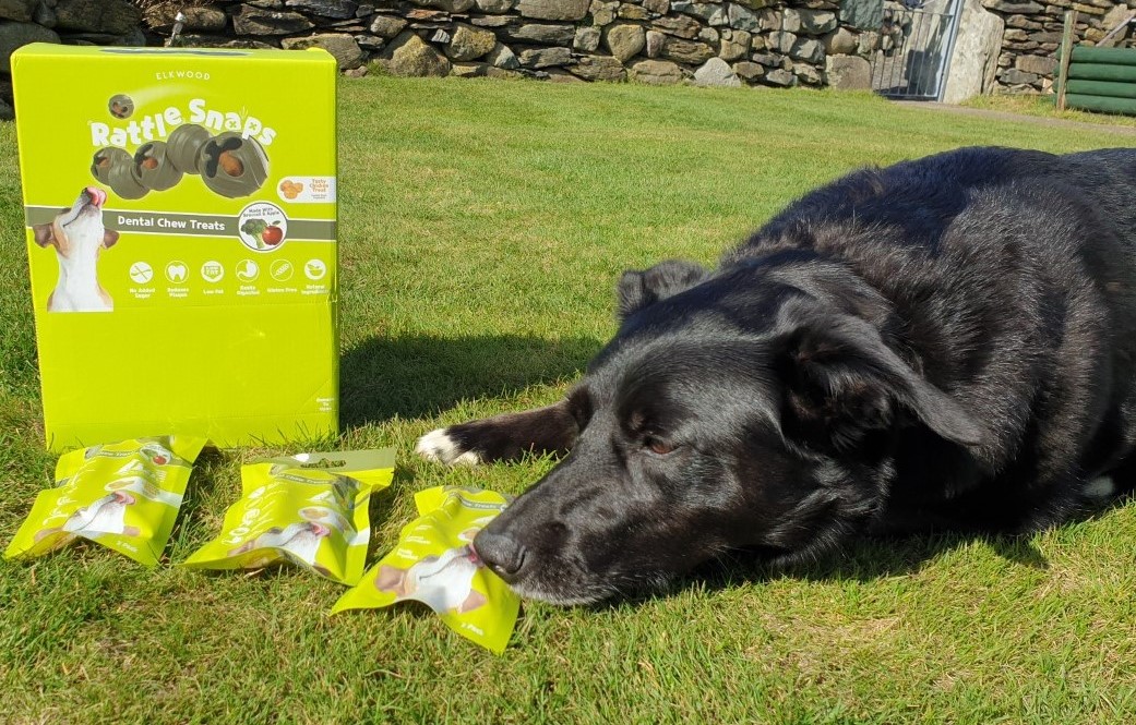 Rattlesnaps Dental Chew Treats