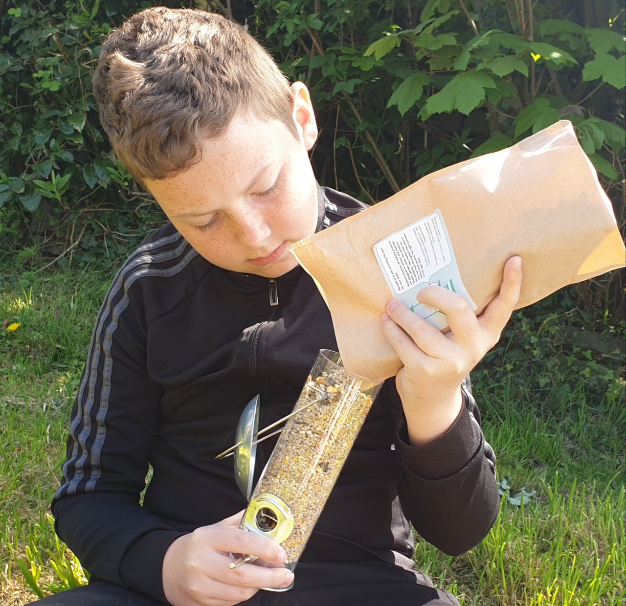 bird feeder
