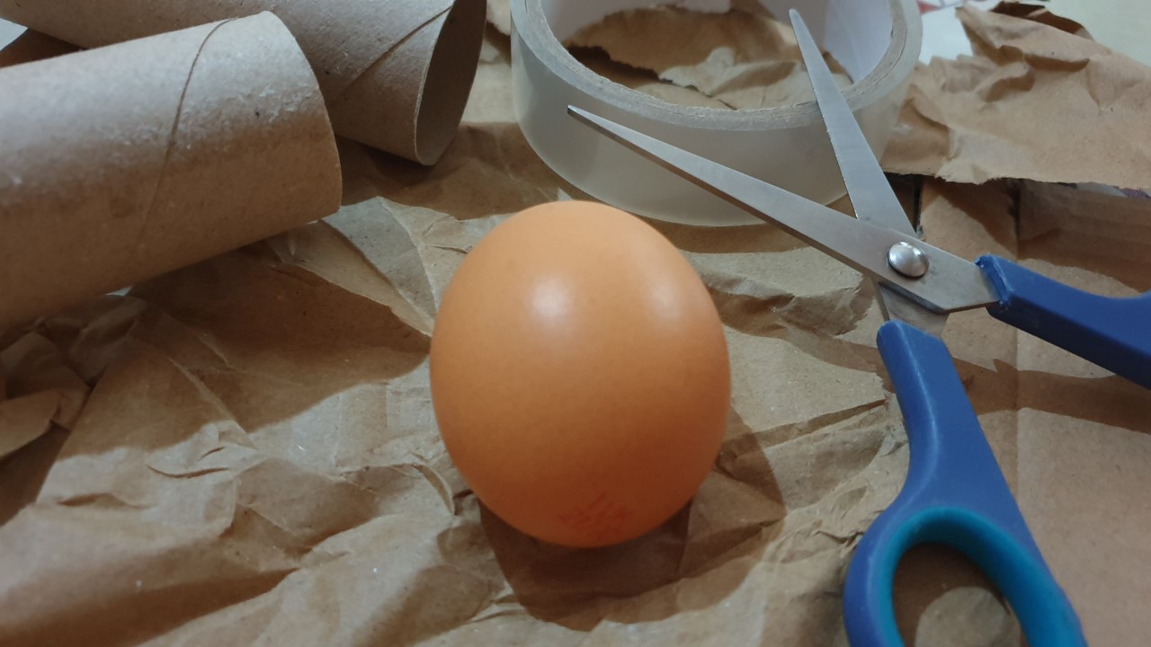 eggs