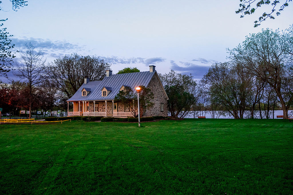 Easy ways to increase privacy in your garden