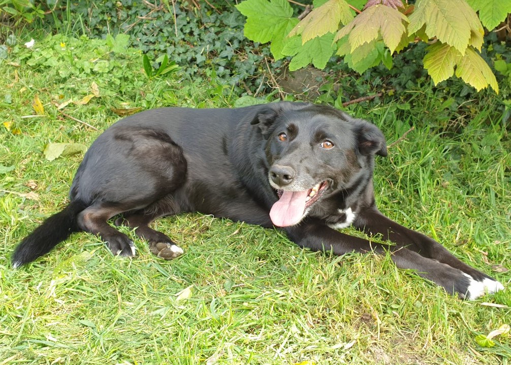 Summer helping with the gardening