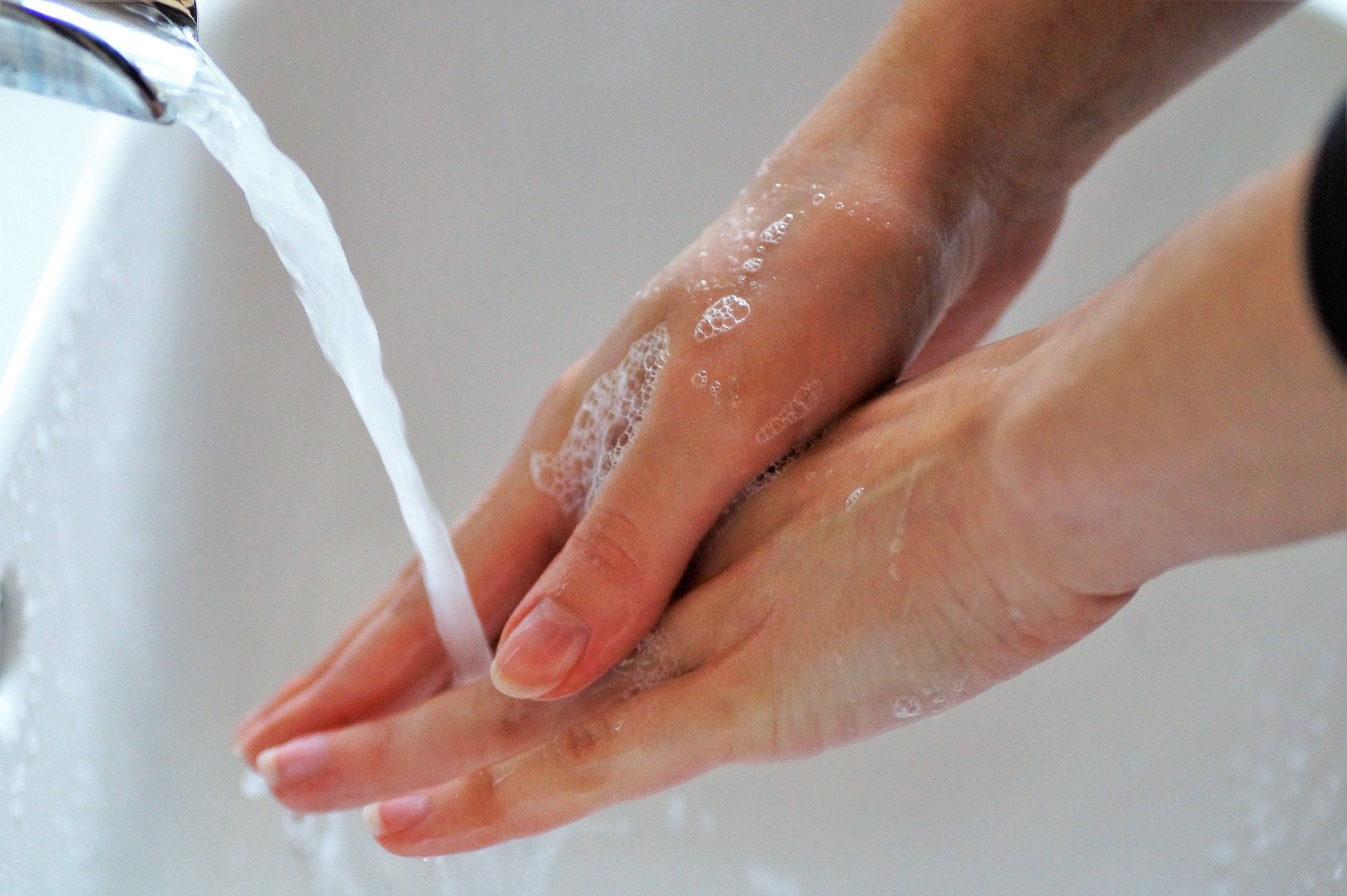 wash hands