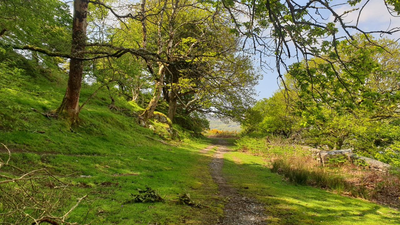 walking