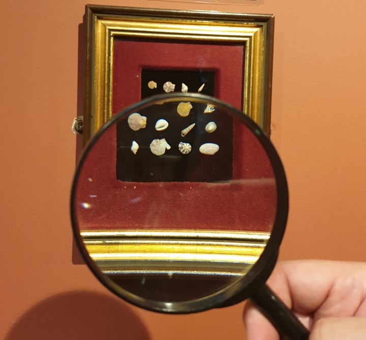 magnifying glass