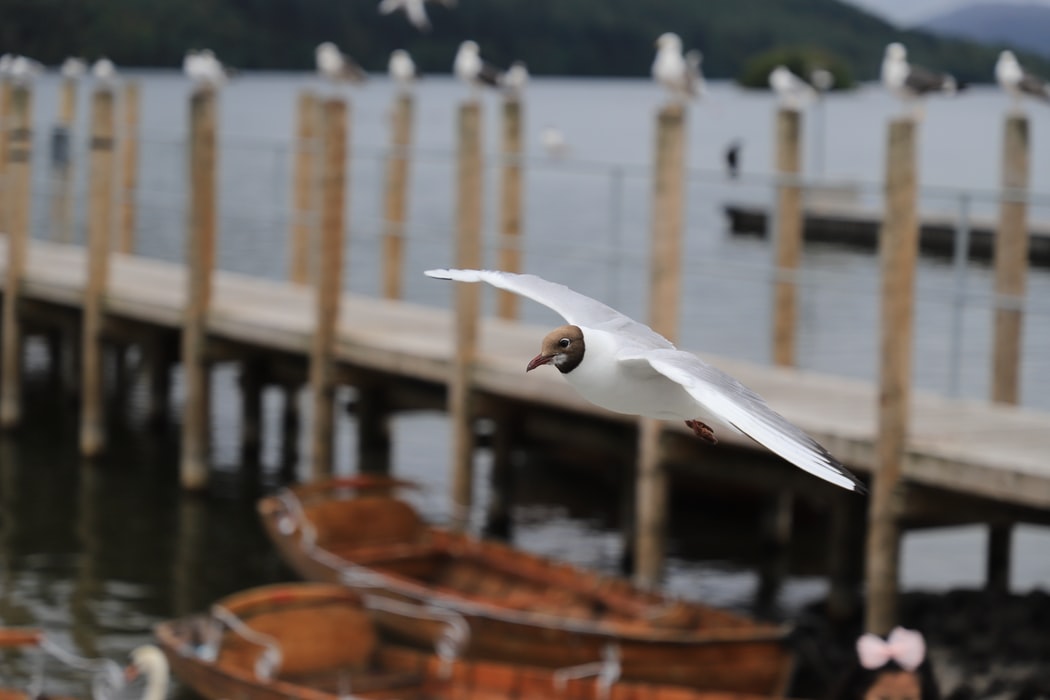 windermere