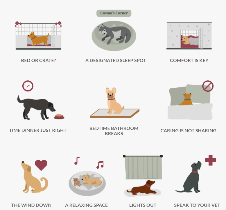 Sleep Routine For Your Dog