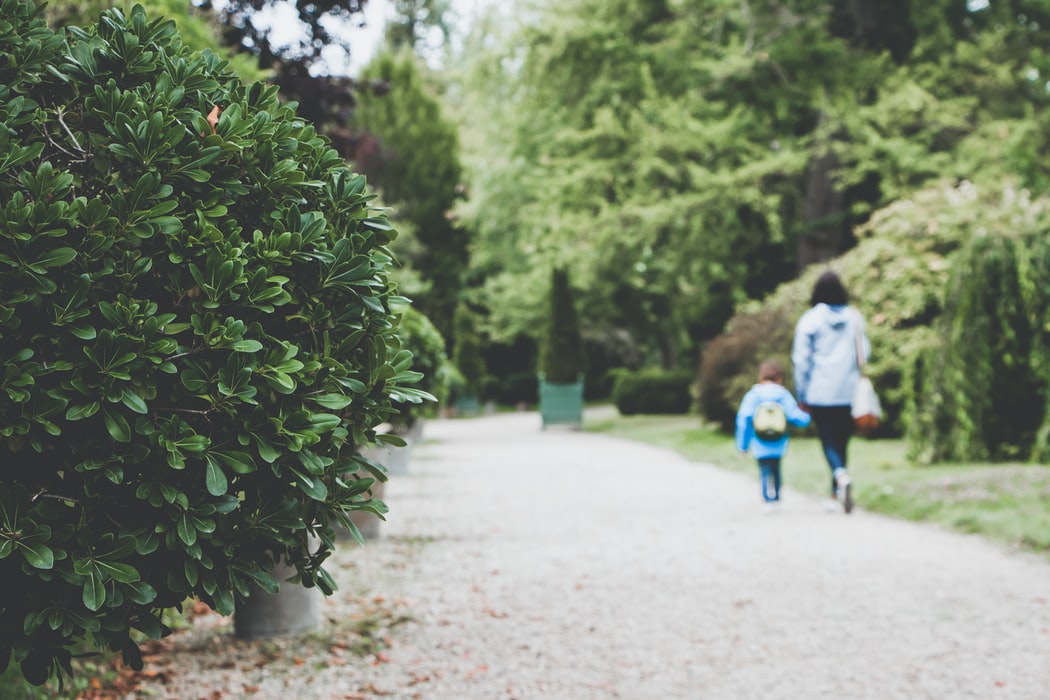 go for a walk