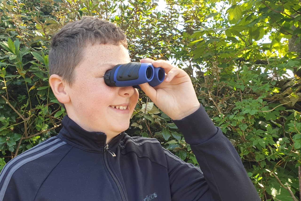 bird watching outdoors