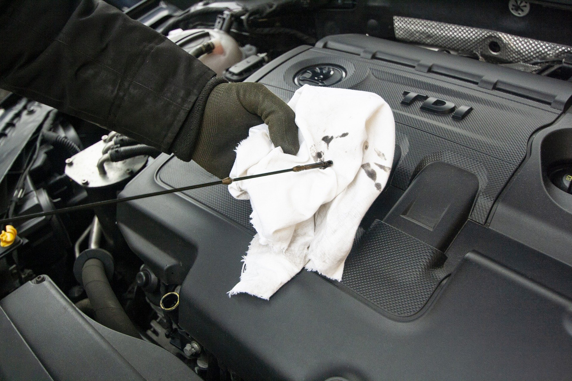 car oil