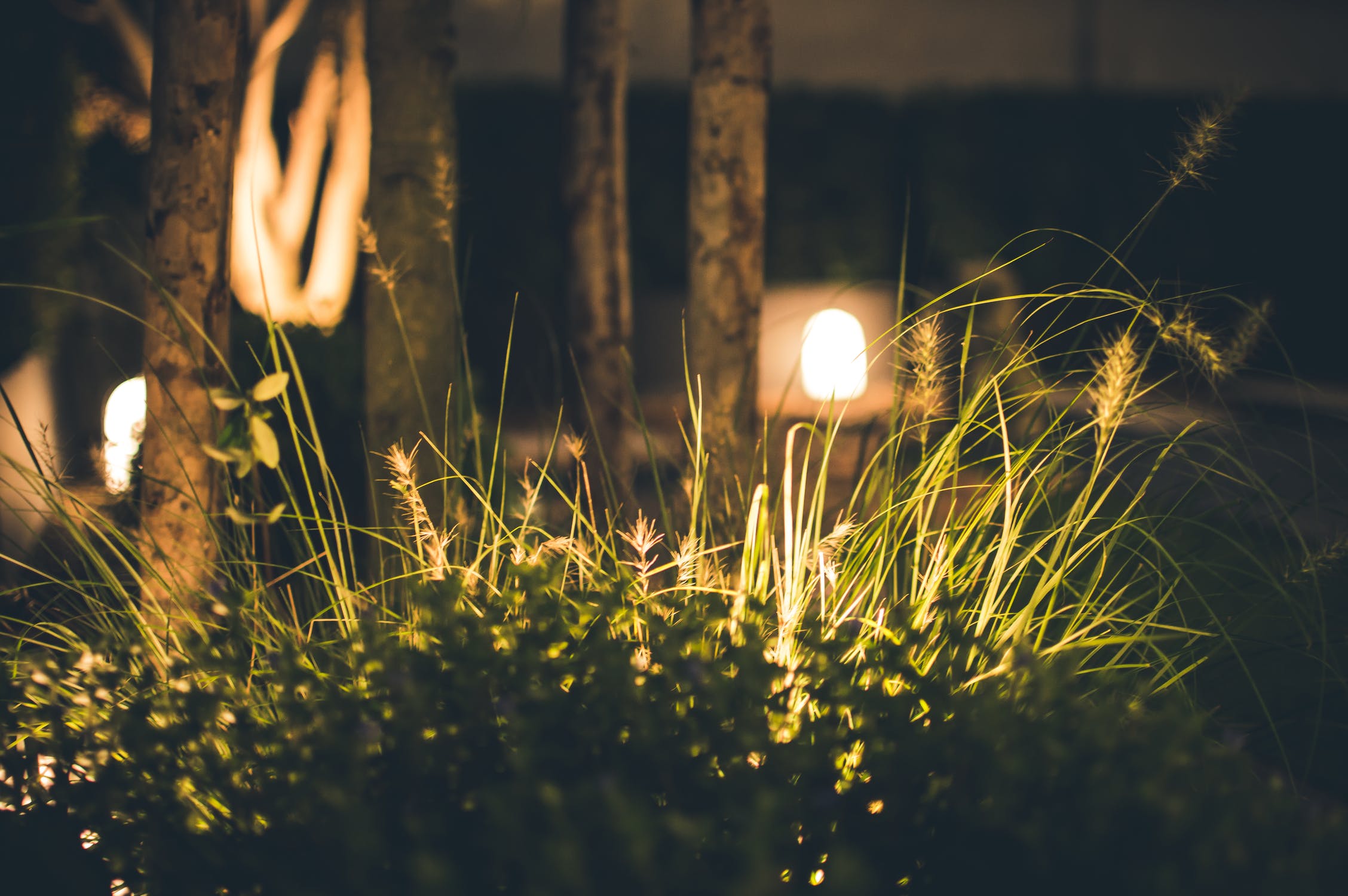 garden light