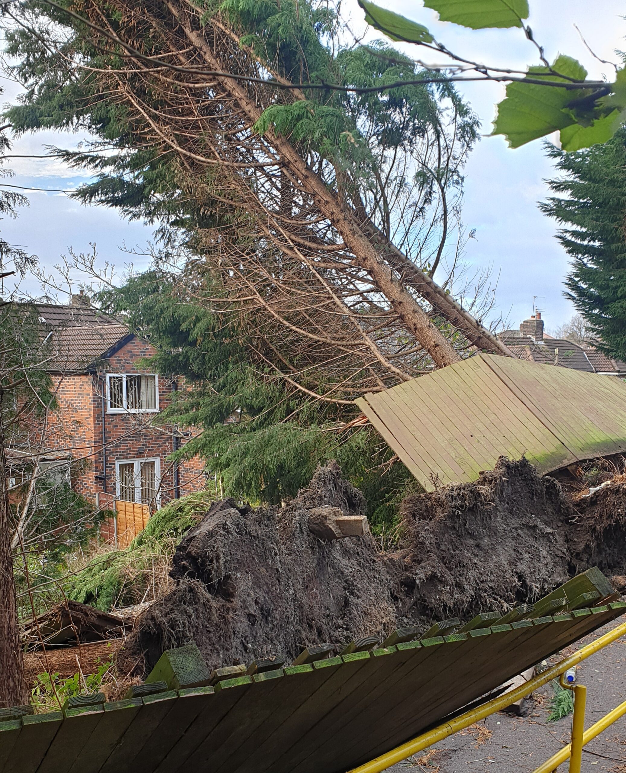 Storm damage