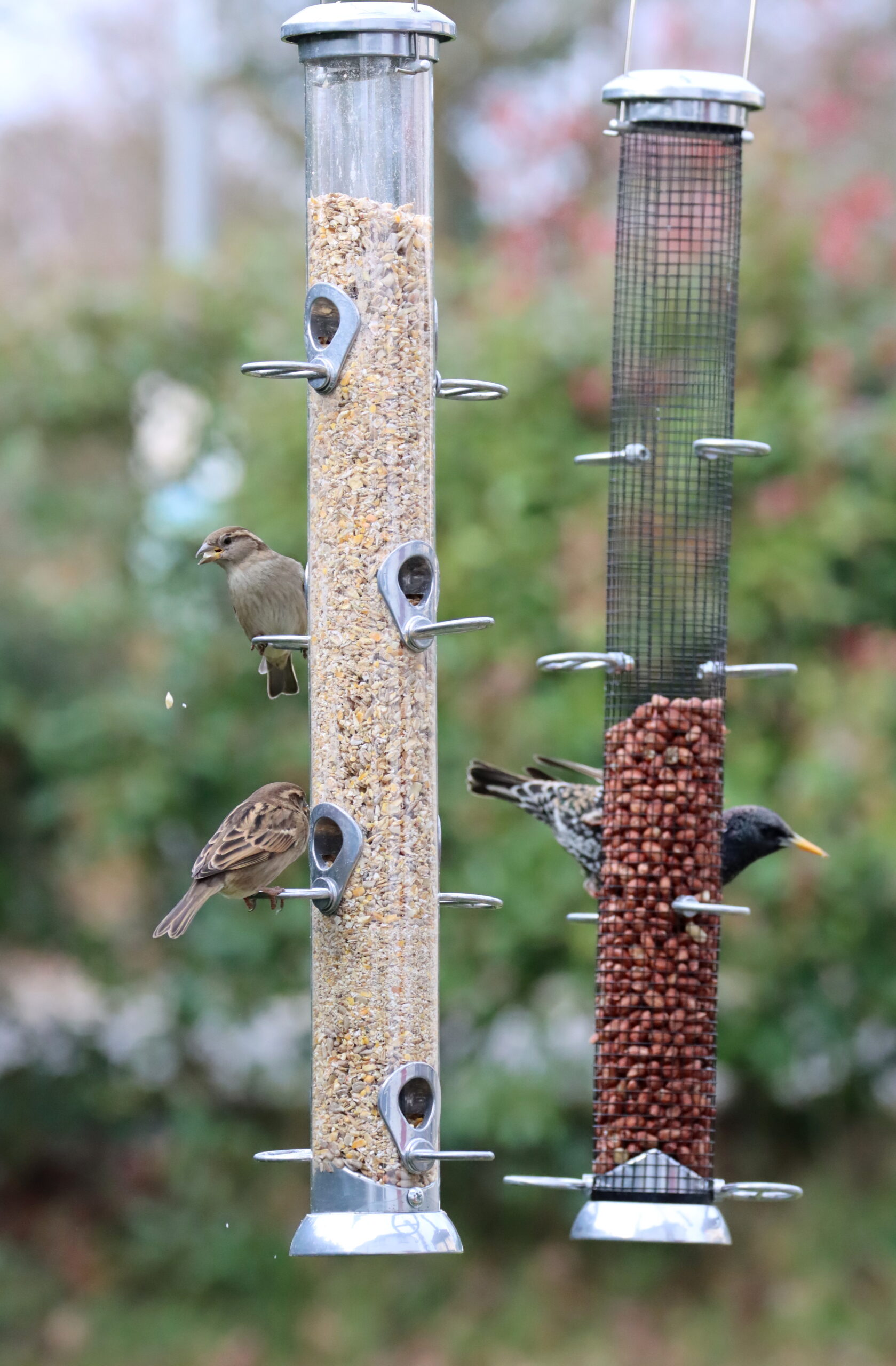 feeder