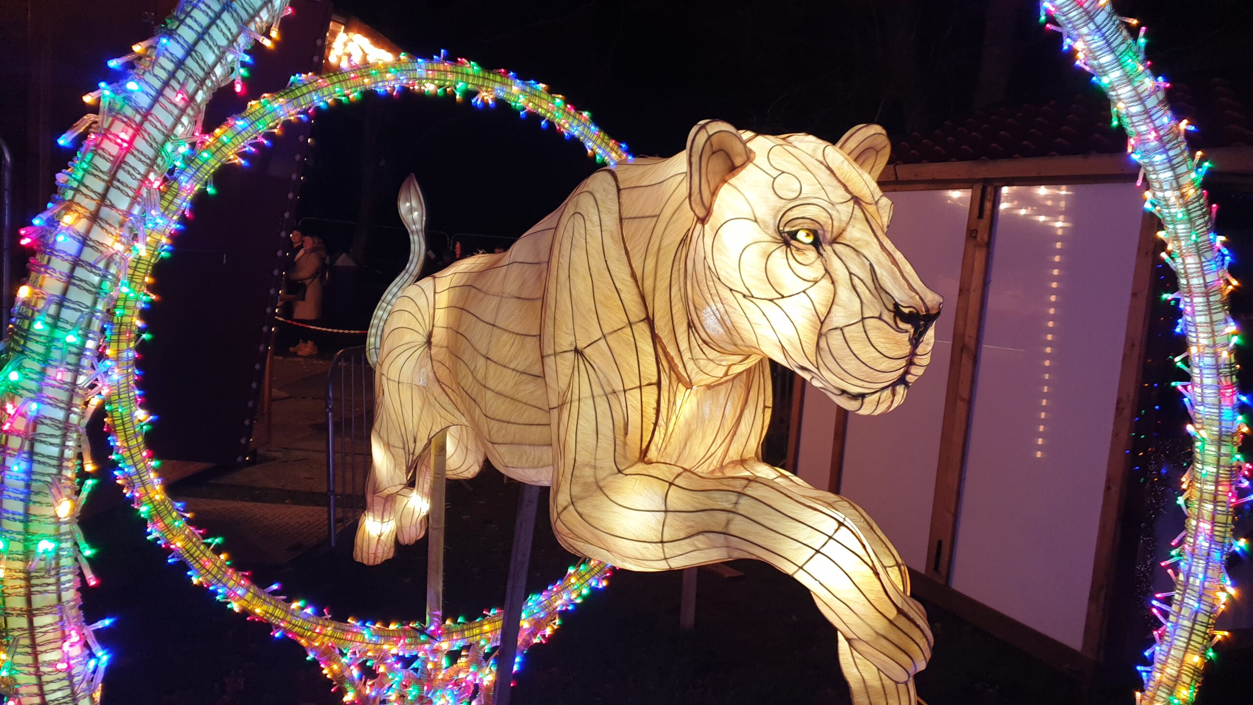 lightopia