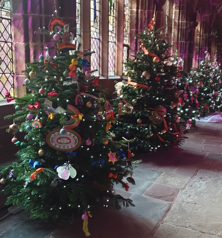 Chester trip tree festival