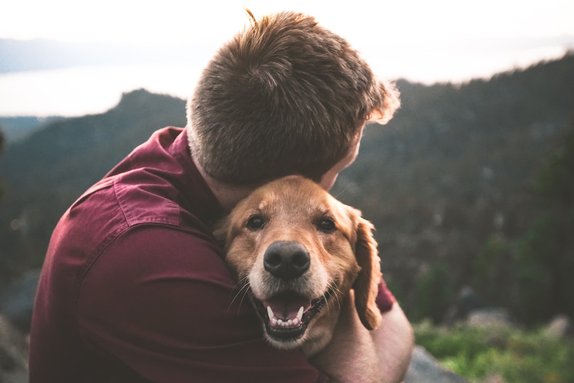mental health pets