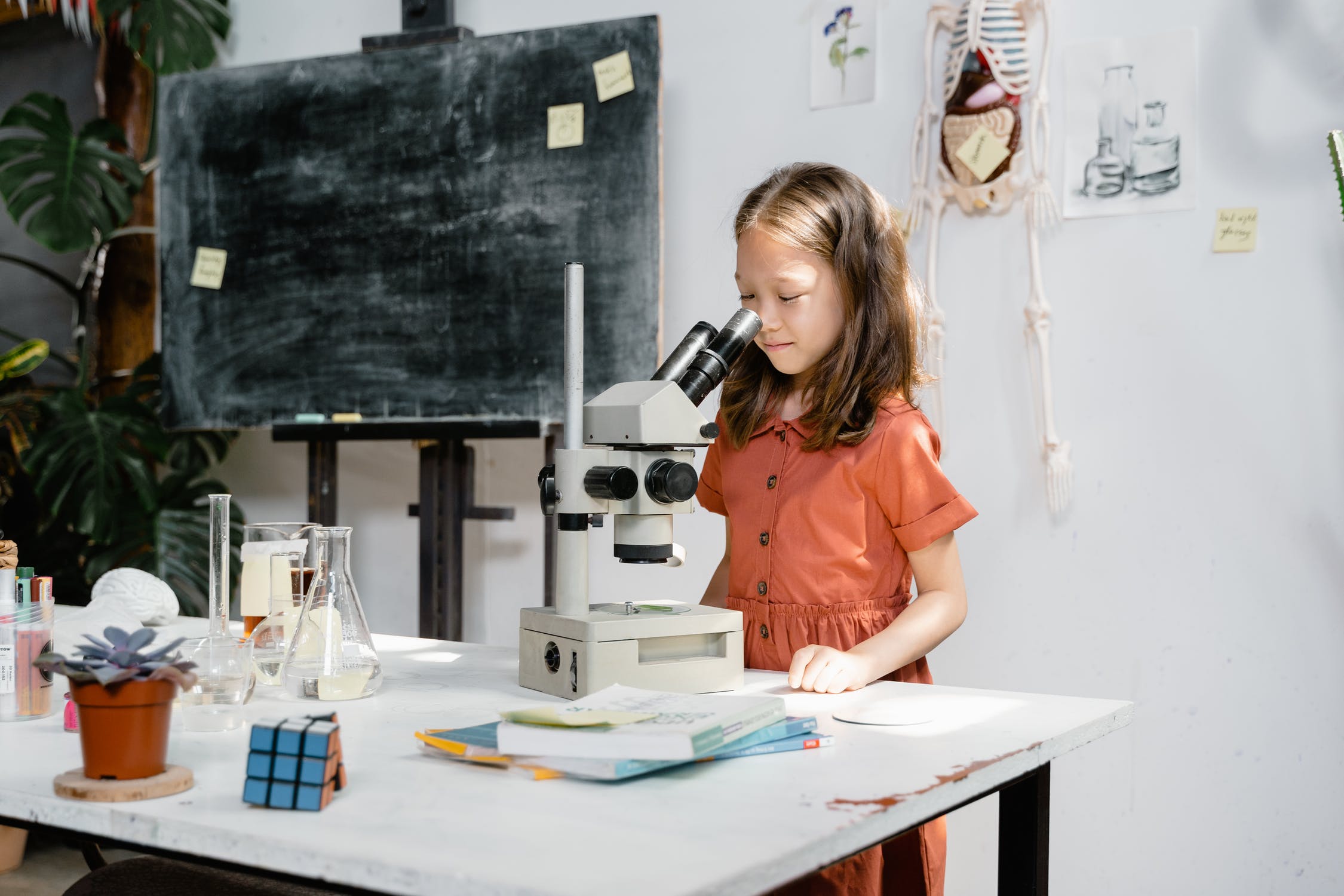 science kit