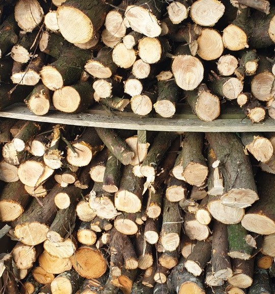 wood