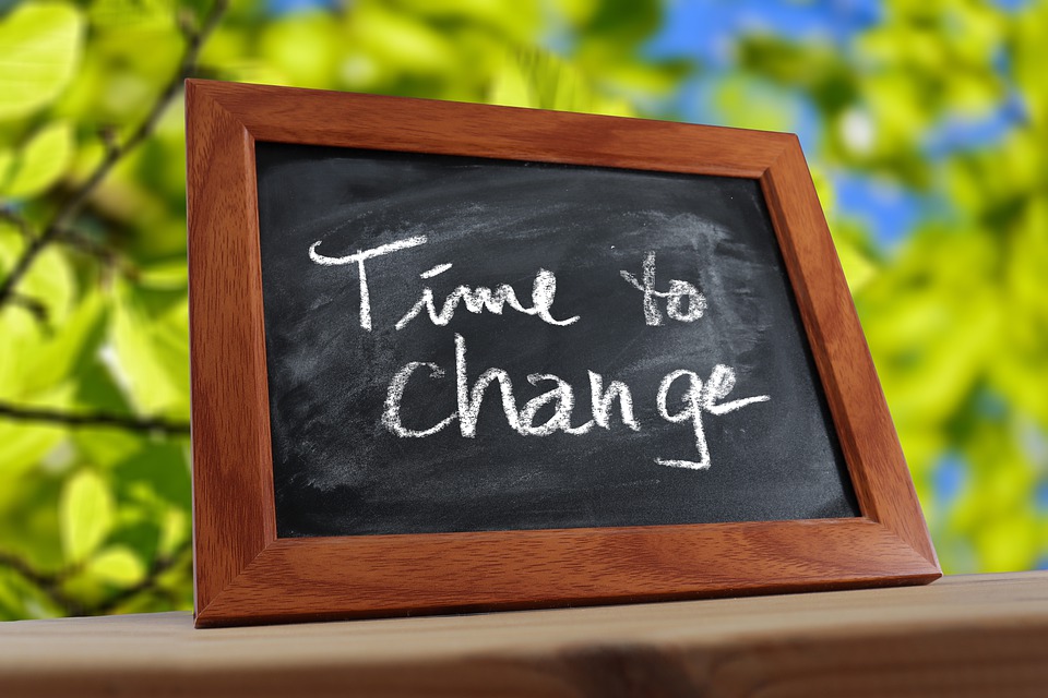 Going Green in 2022: Sustainable Interior Design Choices