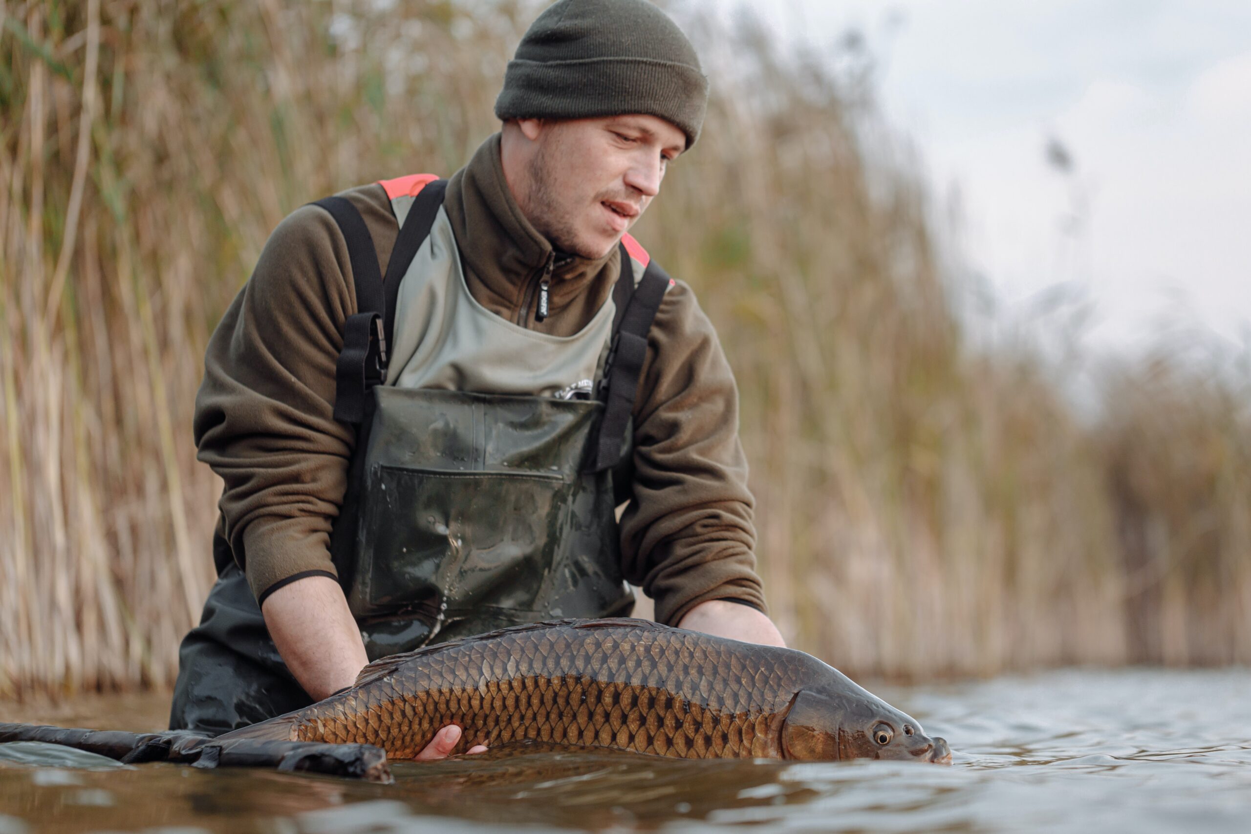 5 tips for successful carp fishing