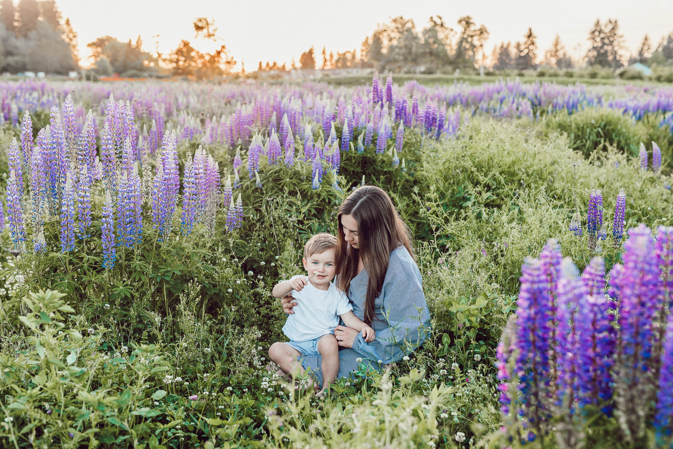 Plan The Perfect Family Vacation With These Simple Tips