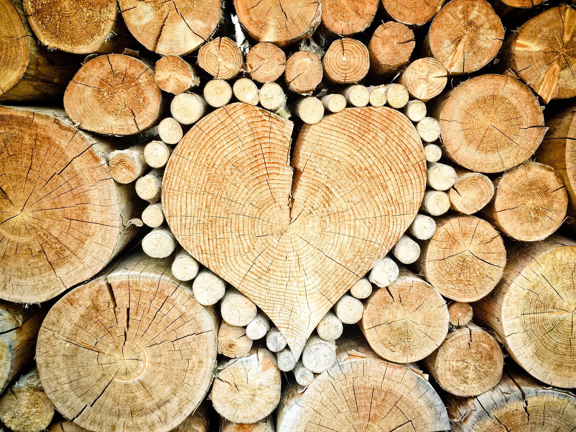 treated timber