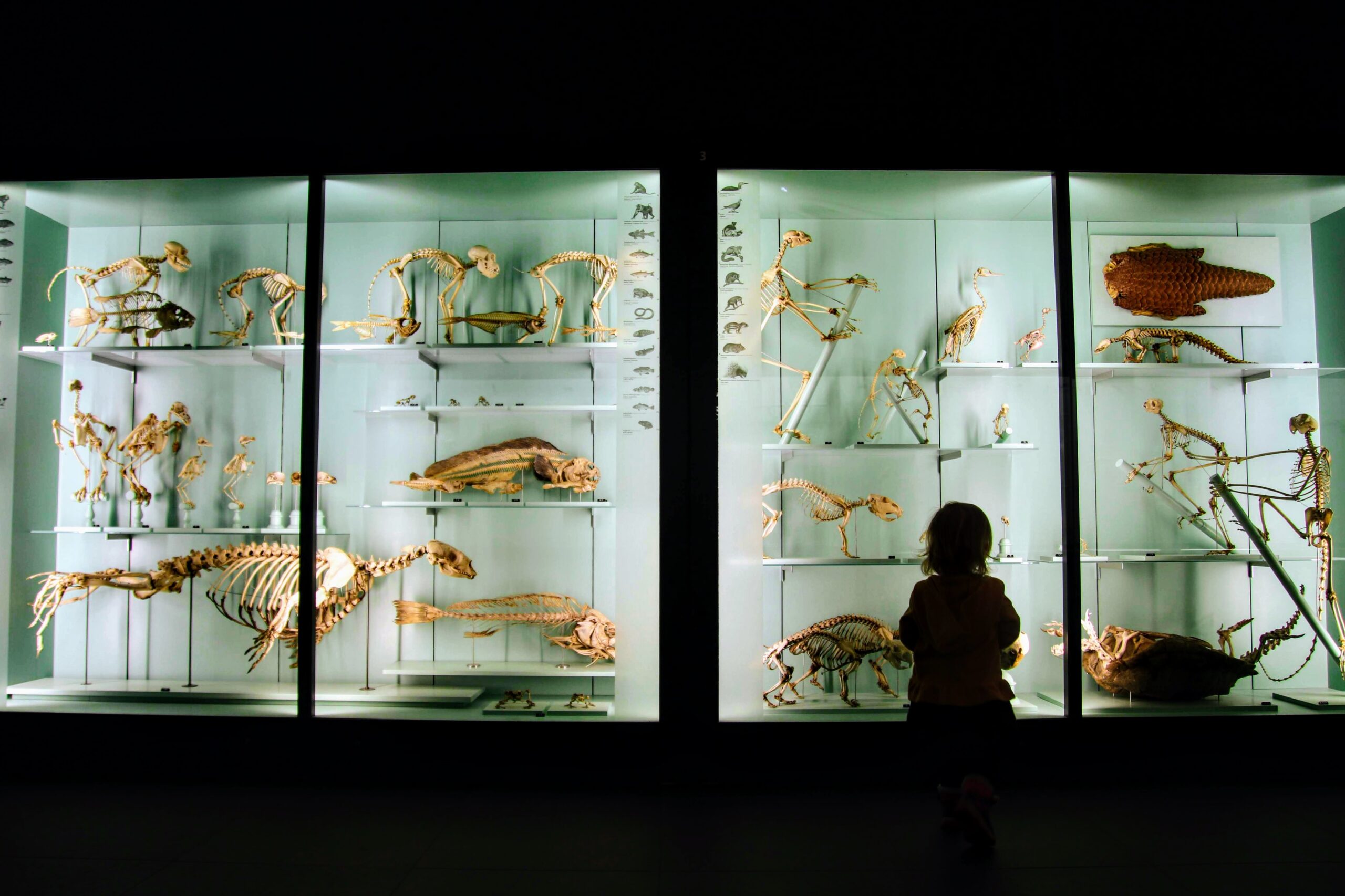 educational activities visiting a museum