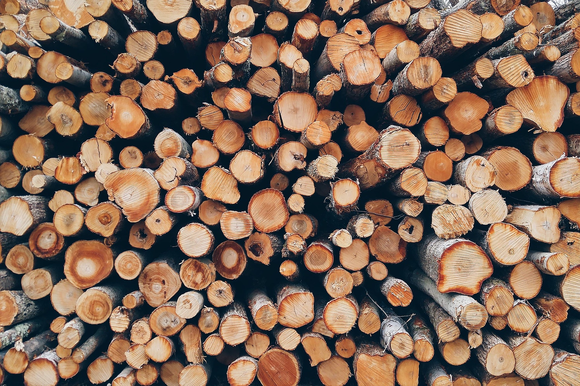 timber