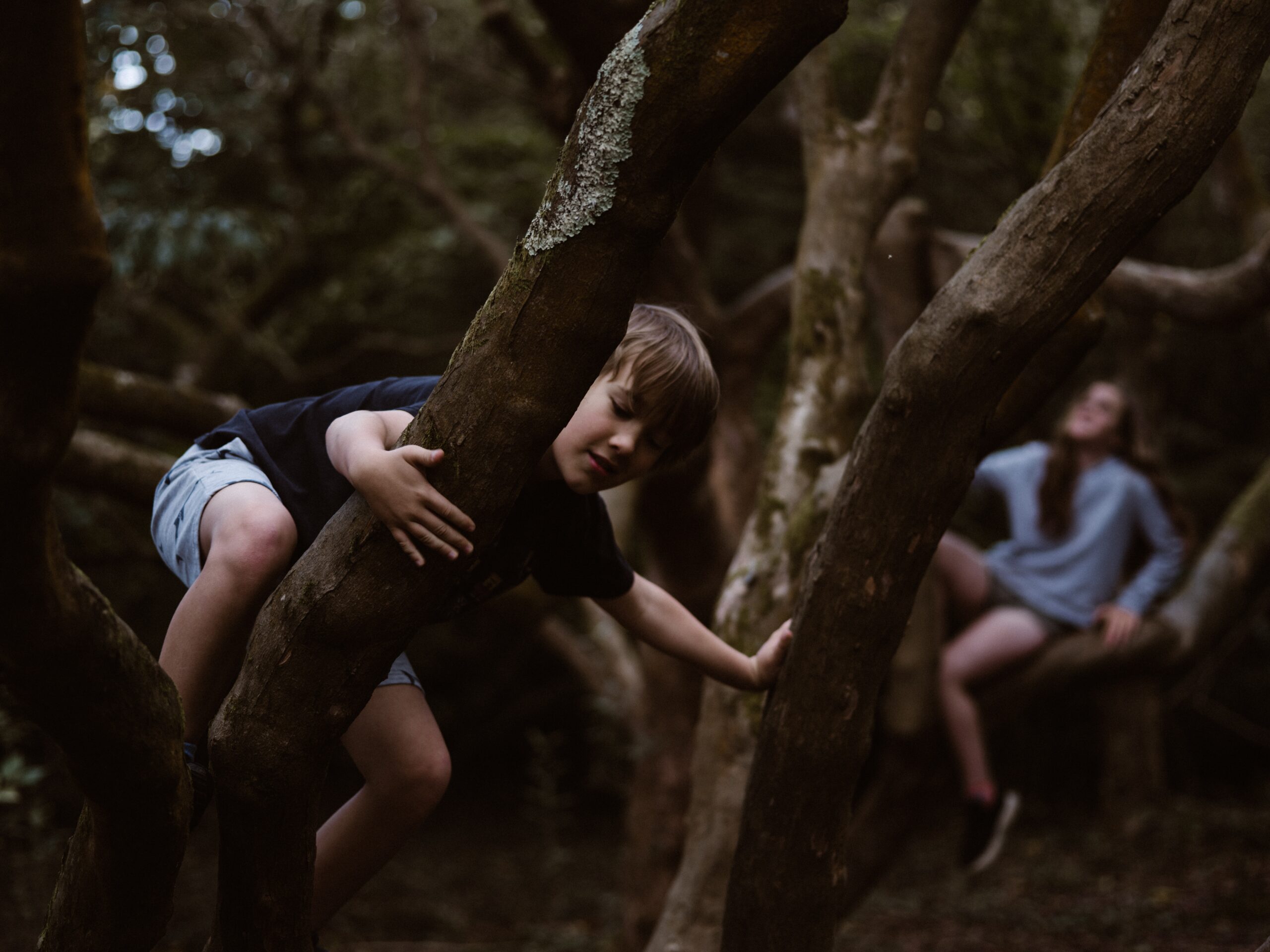 forest school