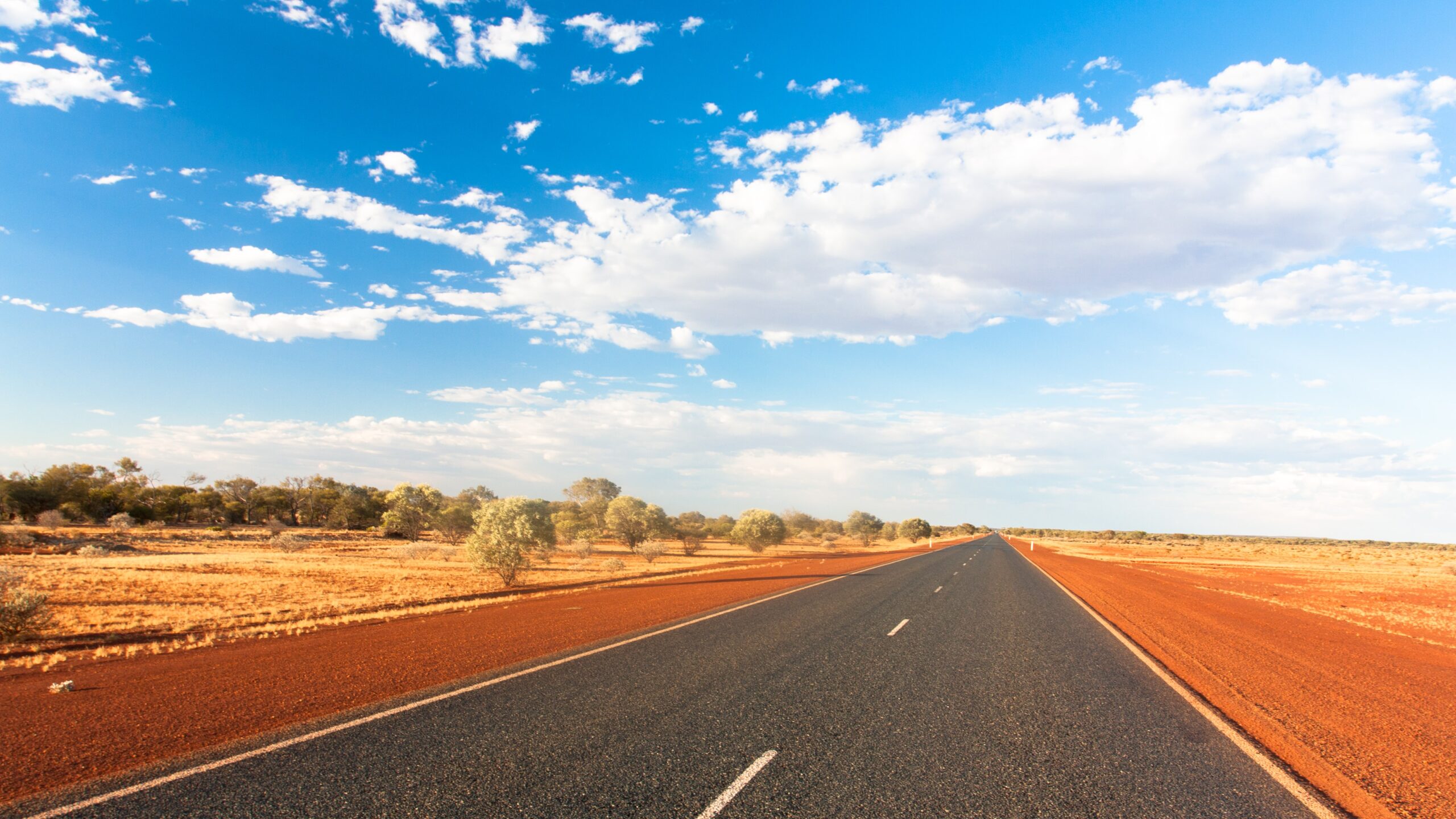 a road trip