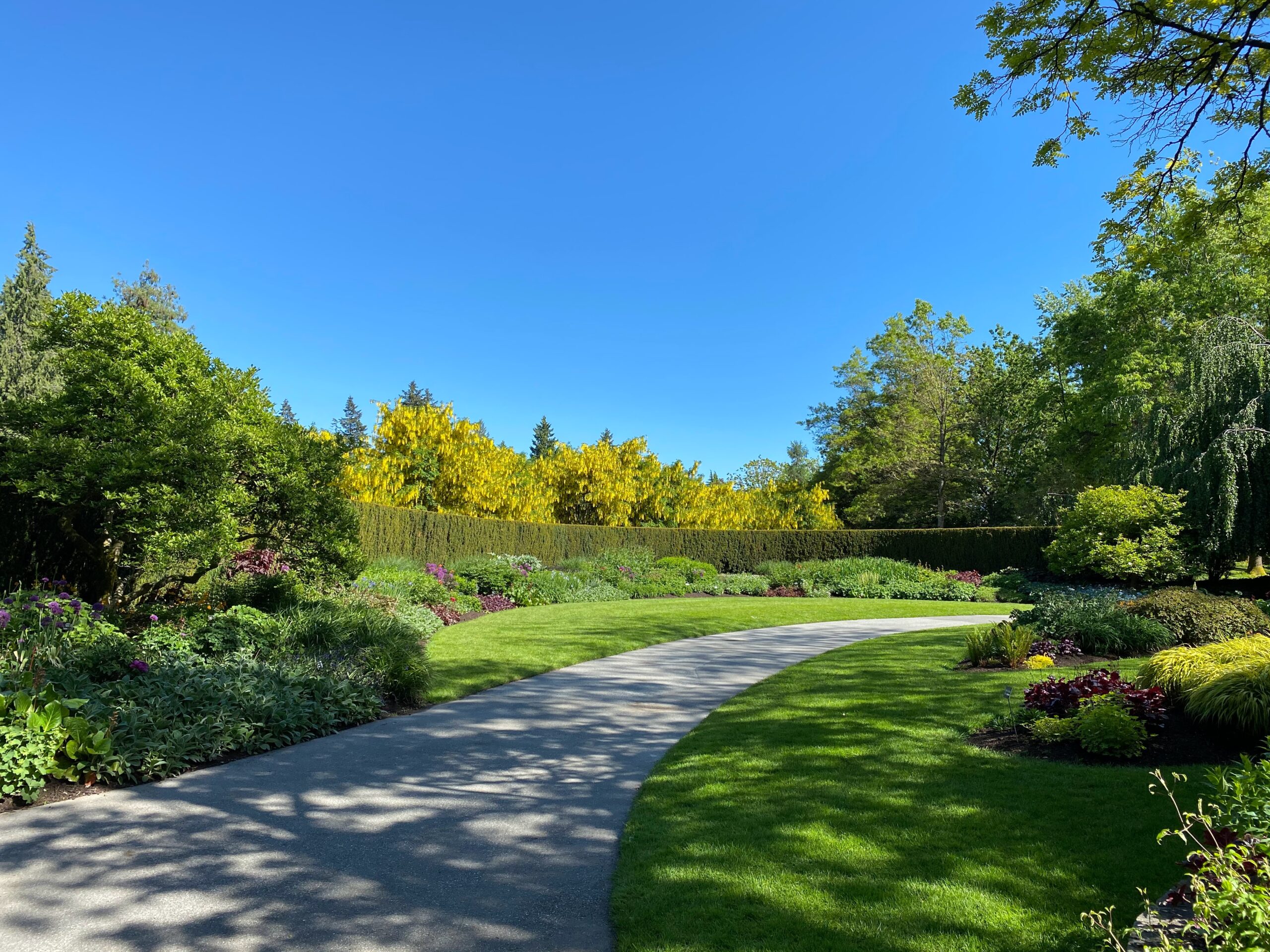 redesigning landscaping