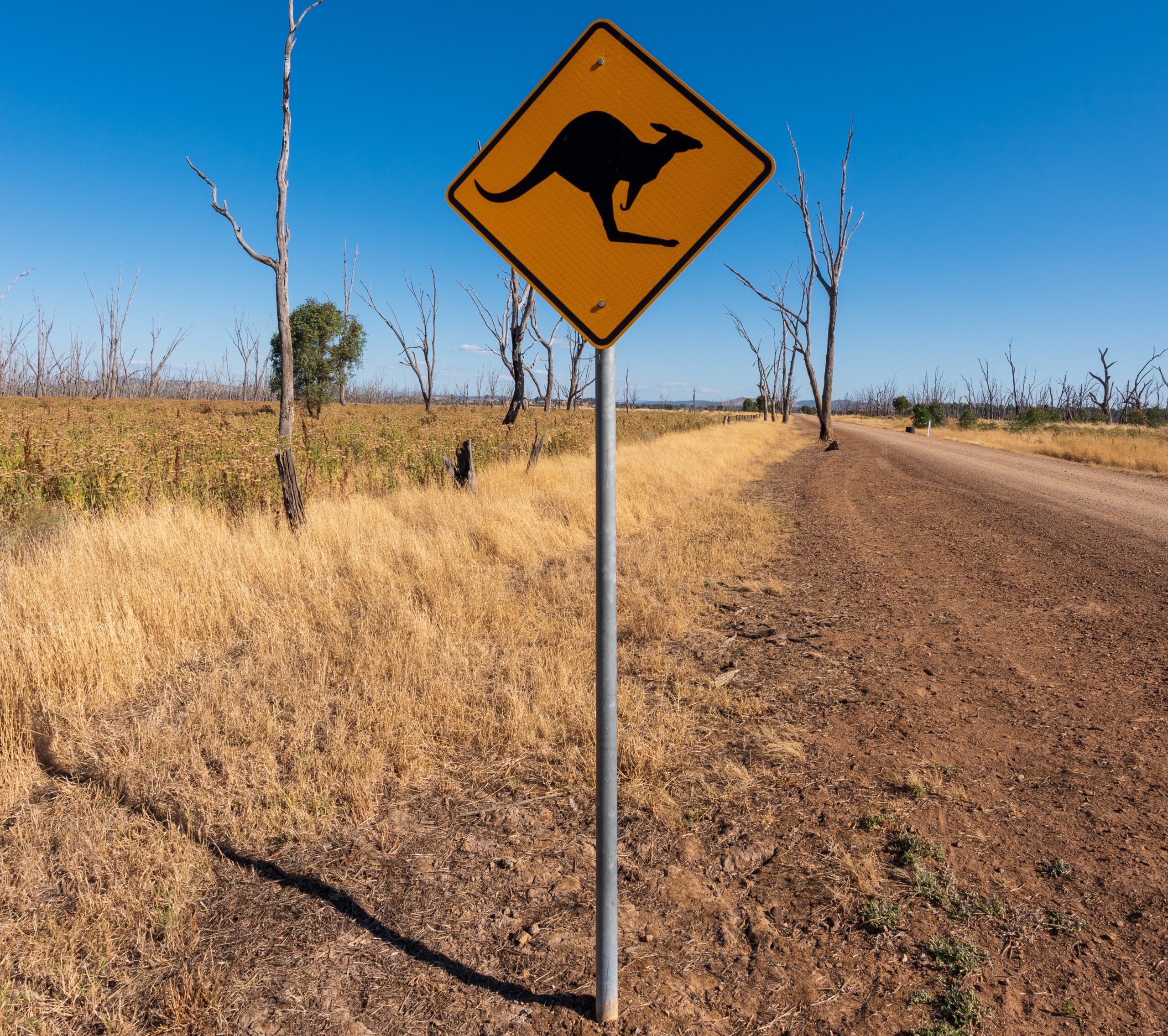 driving outback