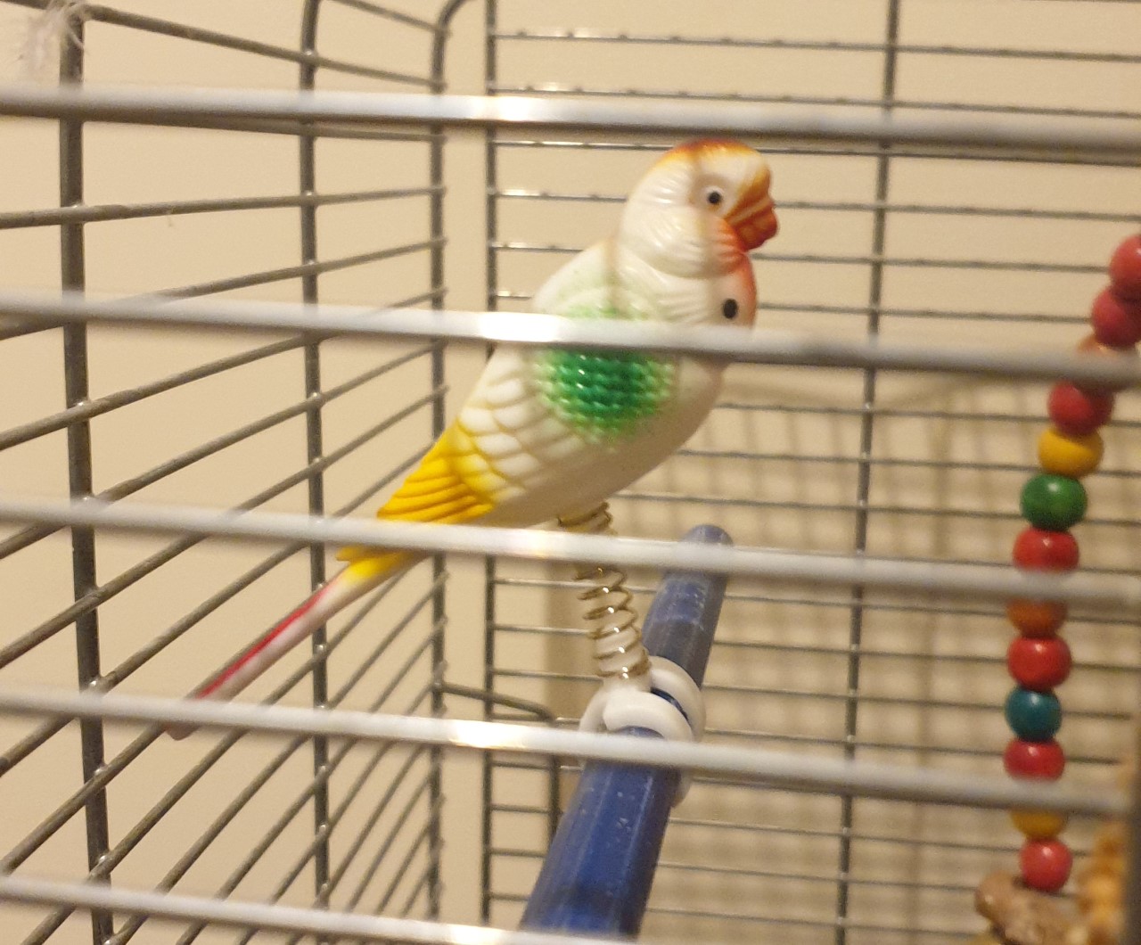 budgie toy
