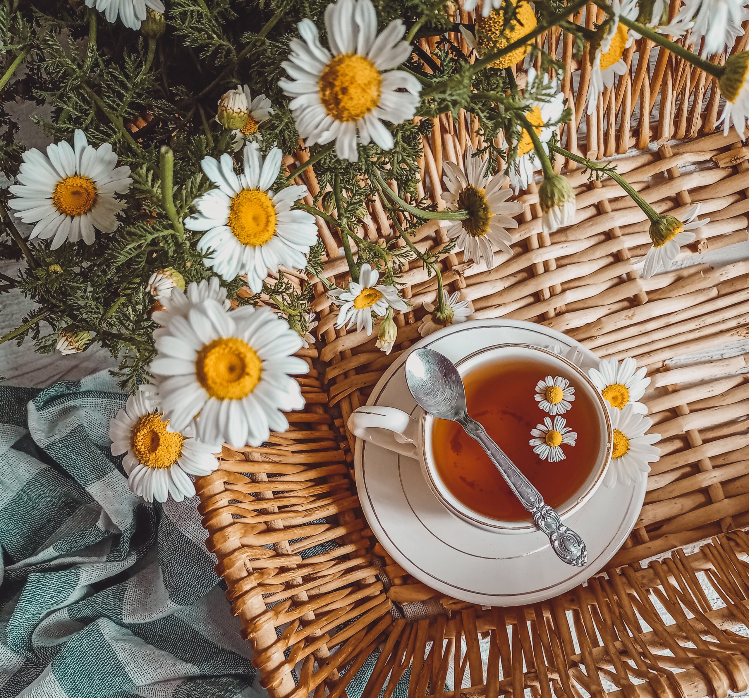 tea garden