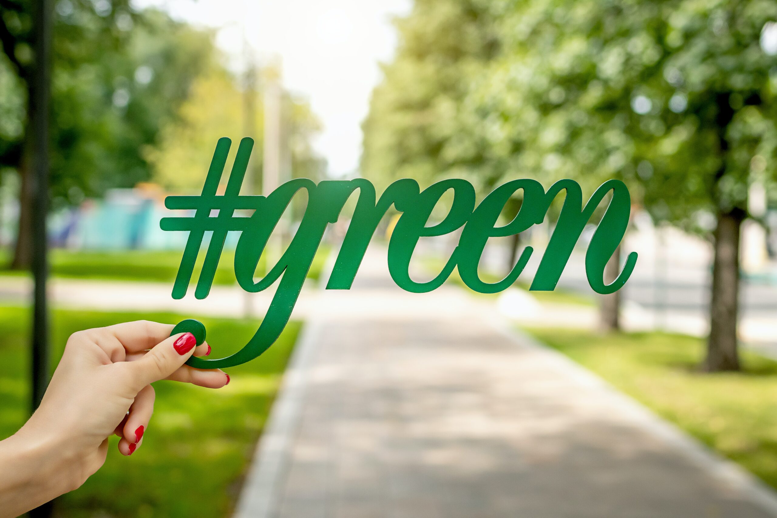 5 Ways to Make Your Home More Environmentally-Friendly