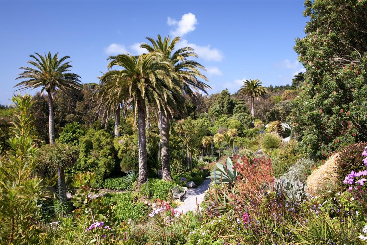 Tresco Abbey Gardens