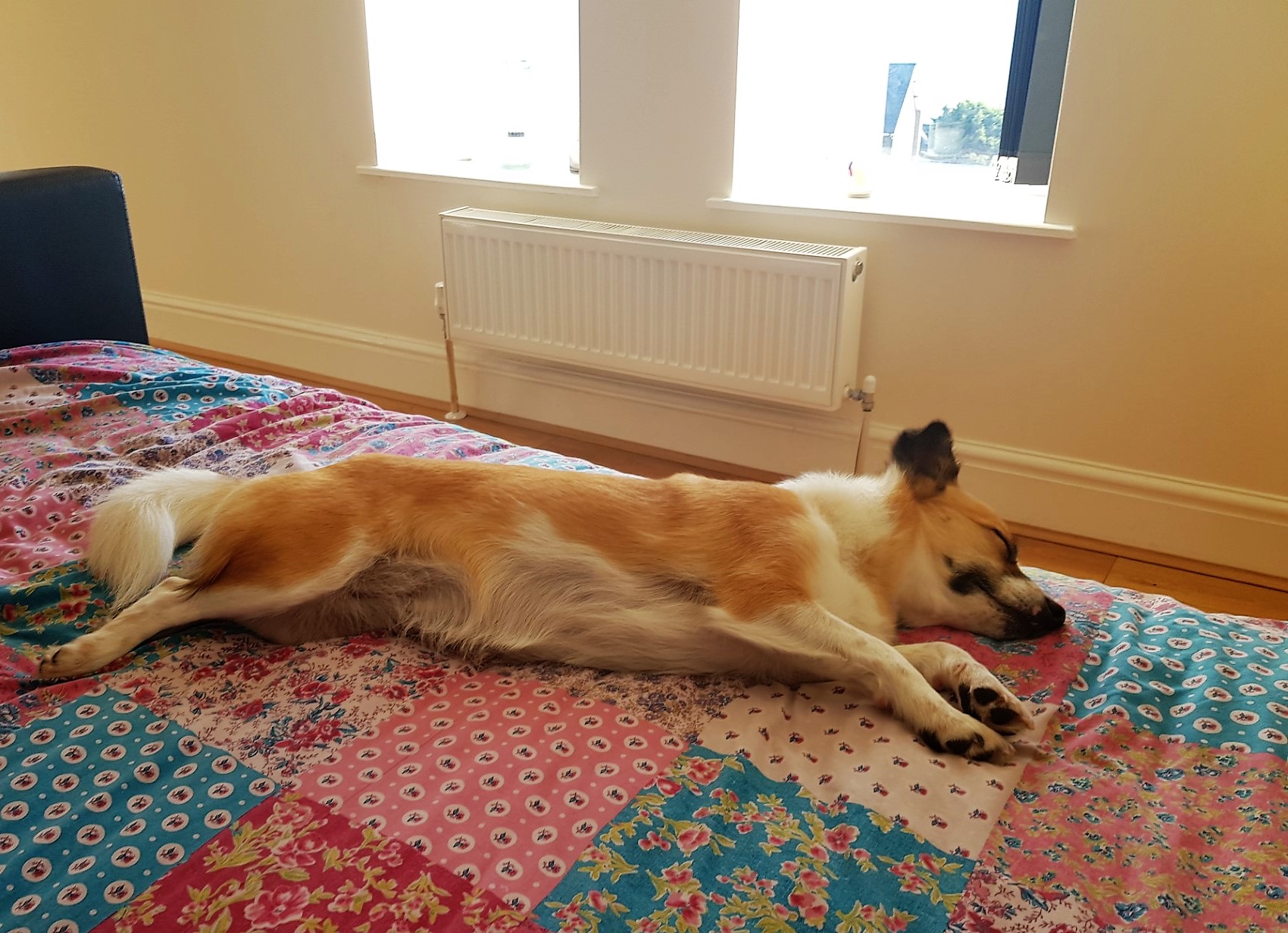 stretched out