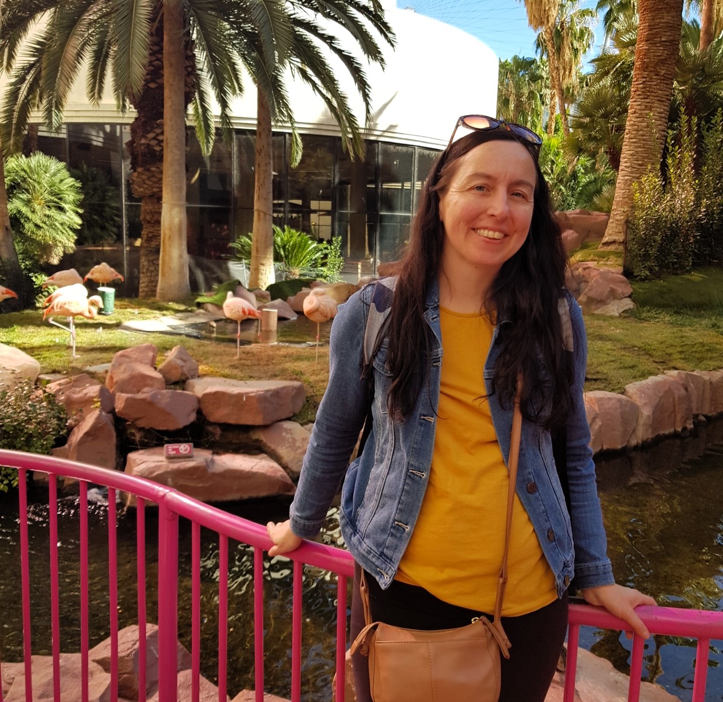flamingo habitat attractions on the strip
