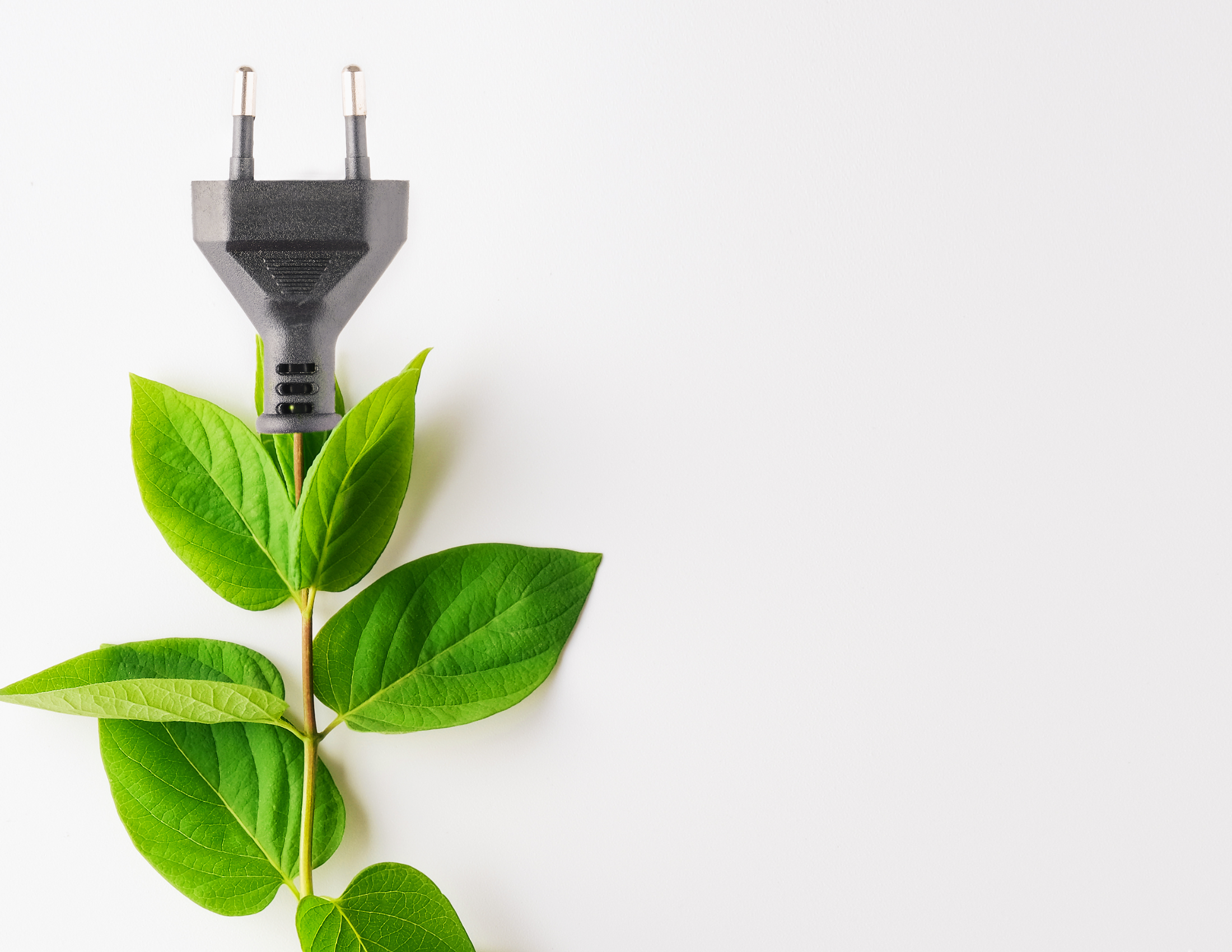 renewable energy for sustainable living