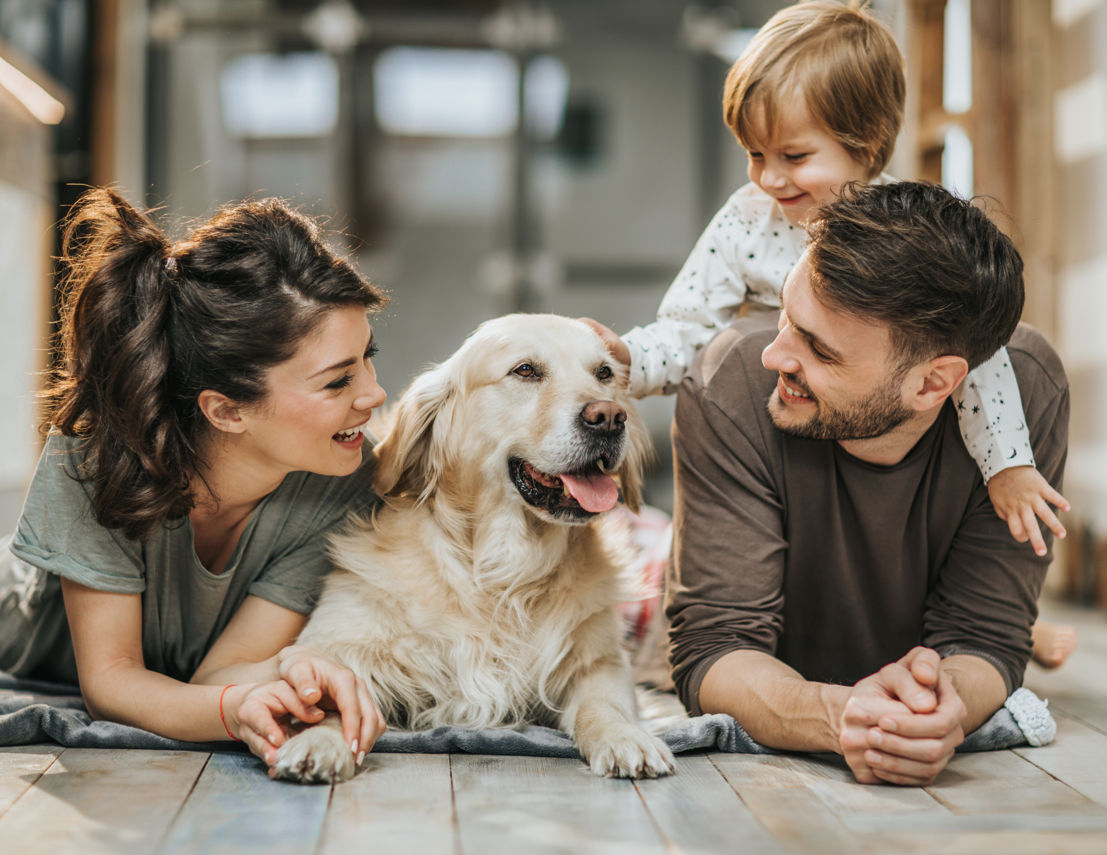 5 Essential Tips for Keeping Your Dog Happy and Healthy