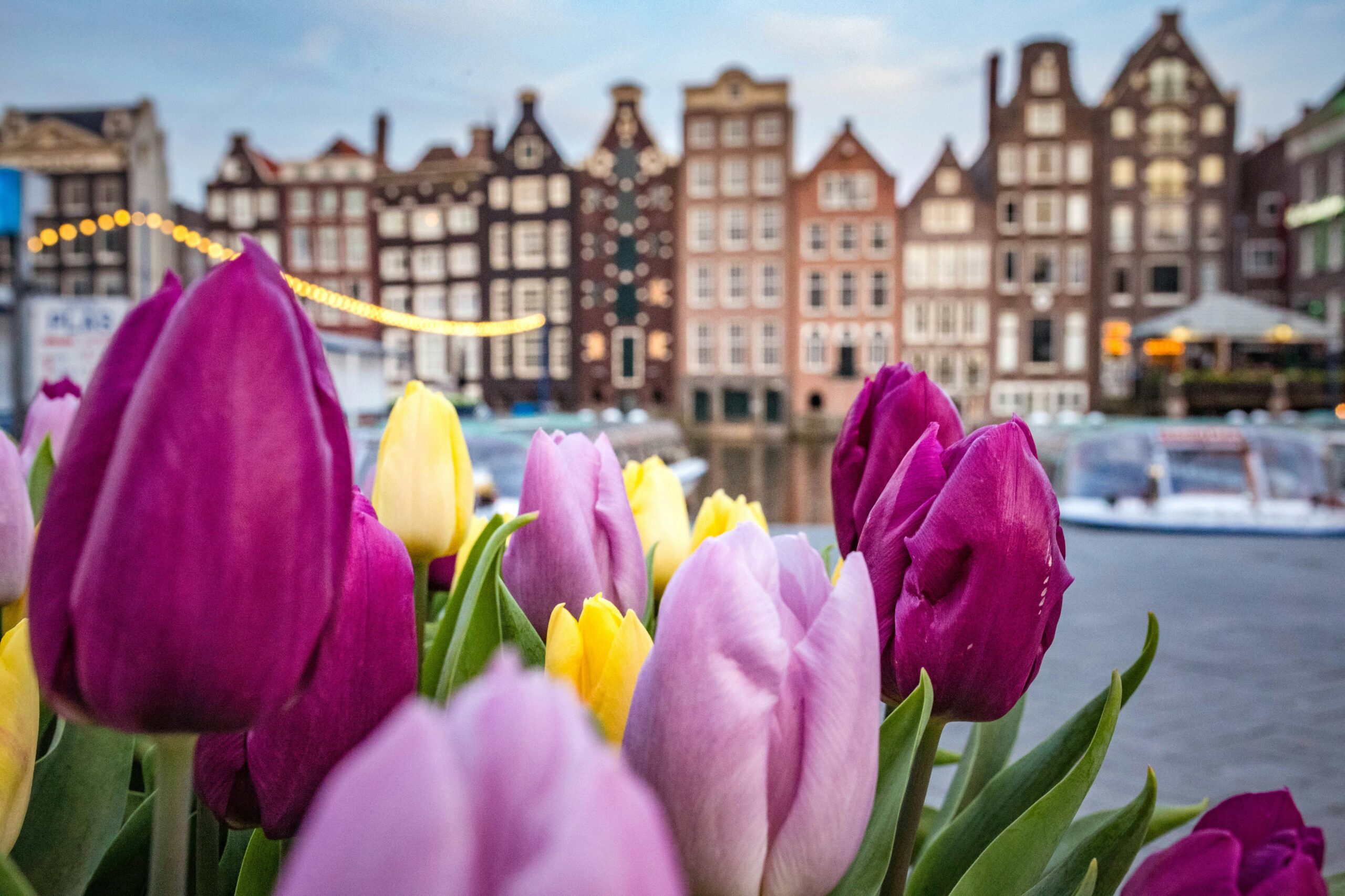 Amsterdam for a cheap holiday