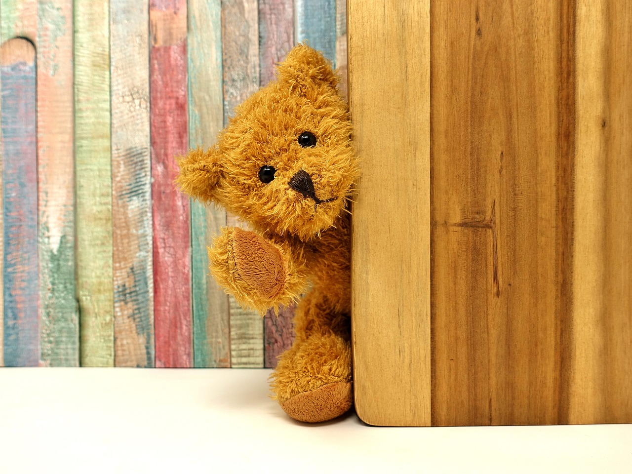 teddy