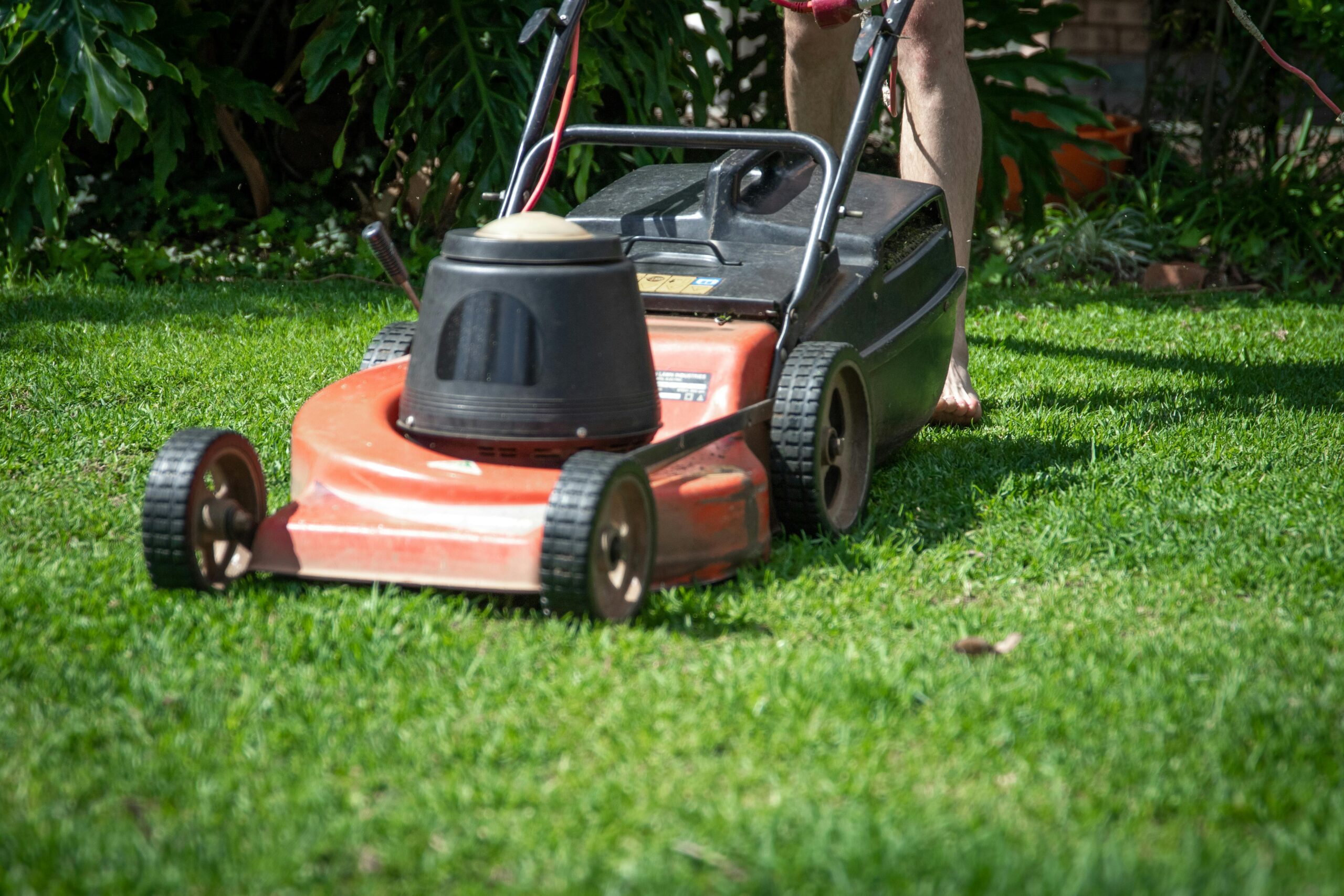 lawnmower and a lawn